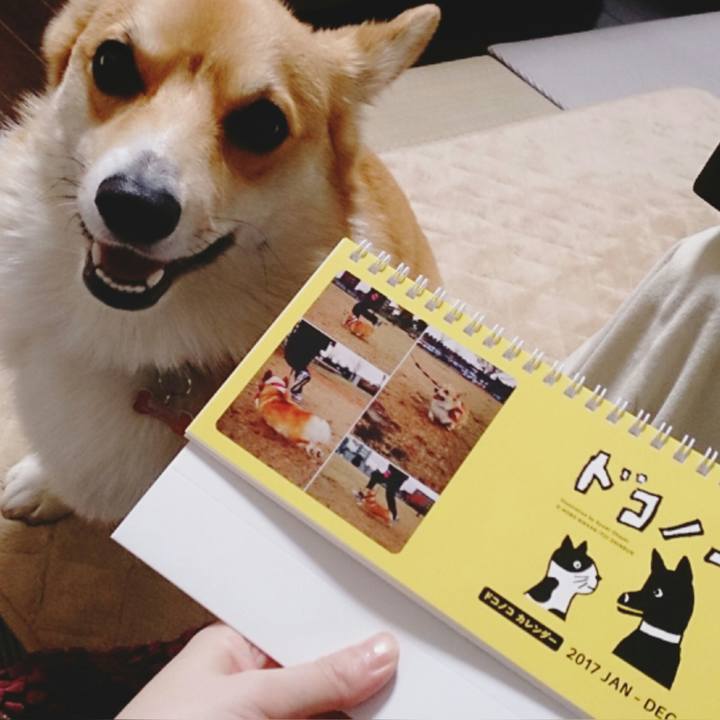 3af29cf3 79e2 4cd9 891c e8fc1463a22d