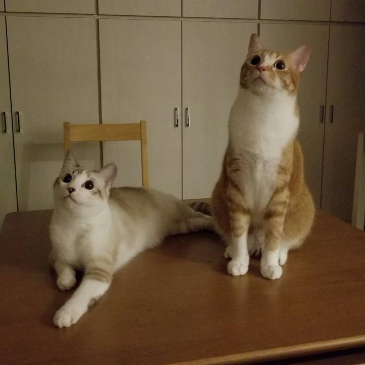 3af2c165 d6e3 4b26 ab2f 3a16ca143799