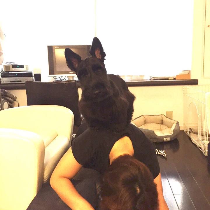 3af40628 16c3 4951 adcd 5937f2d02654