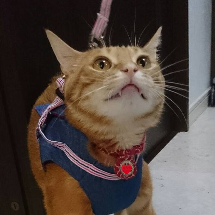 3af41a56 e9d2 4666 8202 0b6af39cec64