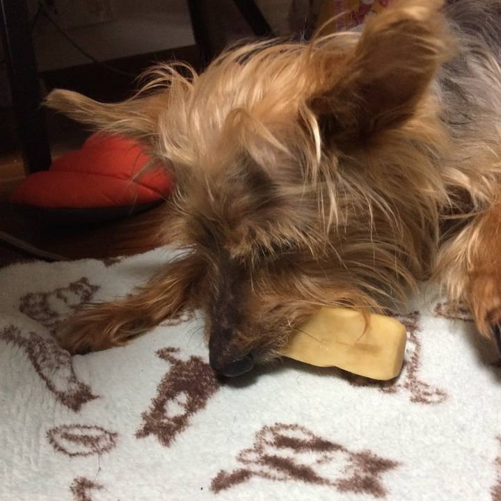 3af48138 fb39 4d65 9a38 b4262bc42500