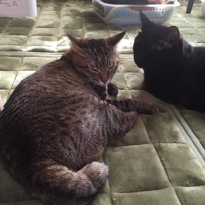 3af49239 6c0e 480a a158 8378f13905ea