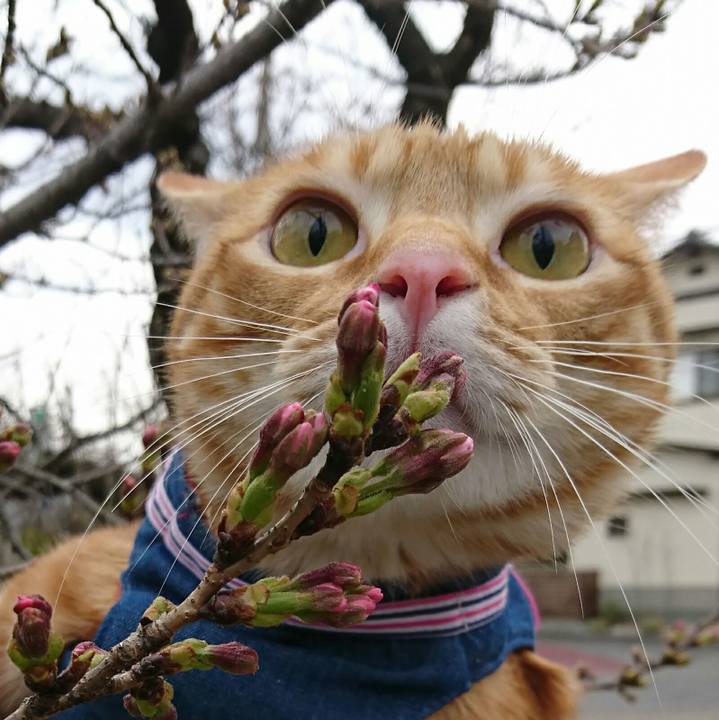 3af571ba 216f 4ac2 88fb f49234346247