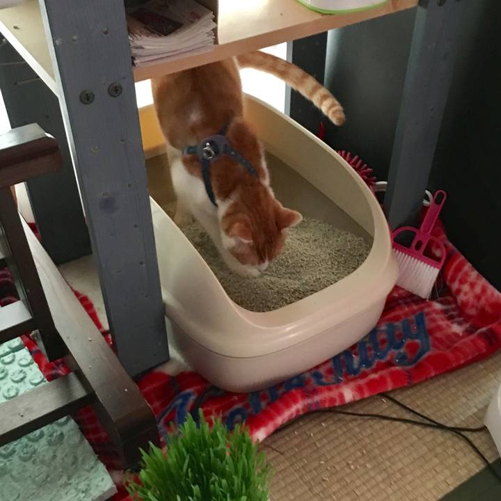 3af6f117 78cb 4e25 aa85 45fd273c182f