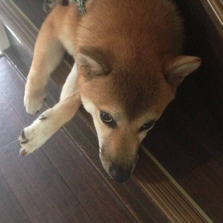 3af7216c 1f98 4604 8065 47eae5d36d31