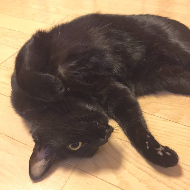 3af767fa e708 4977 b069 db8c547eea25