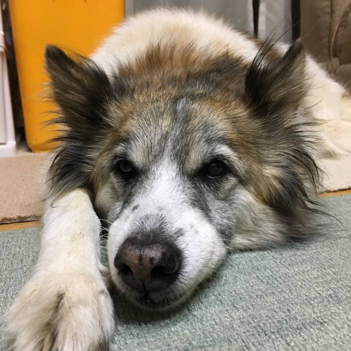 3af7c1d3 4bd1 4b92 9078 b167e4b809e7