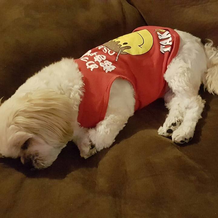 3af822bf 42a2 48b6 b2b7 d5f7449141ee