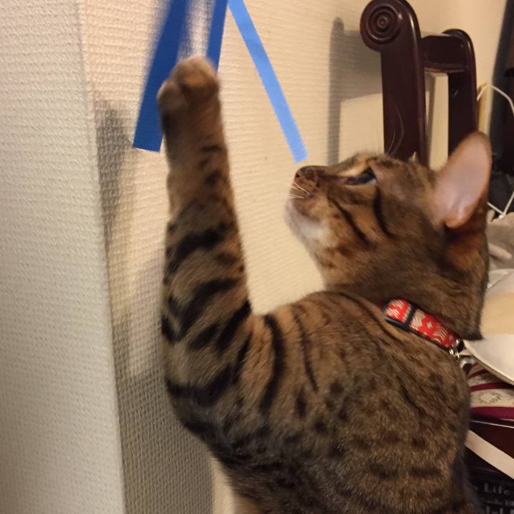 3af93873 0c90 44f2 b948 3fd70b80b92b