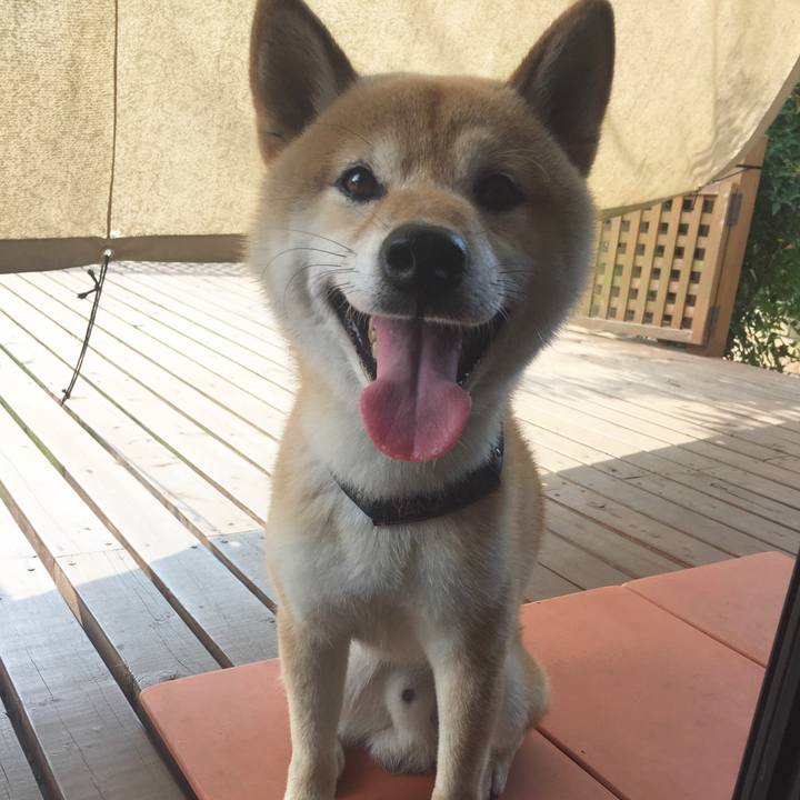 3af948be 939c 4529 bcd9 3195478680ec