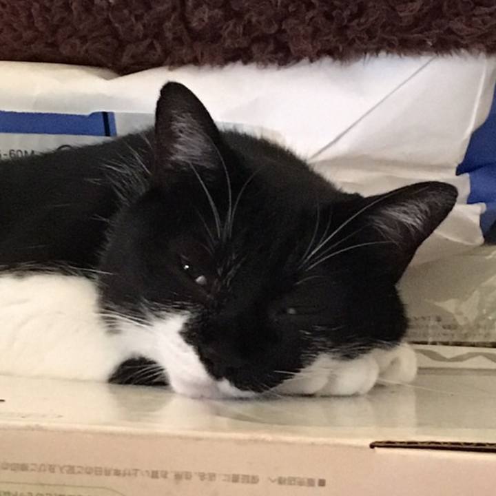 3af9d070 e648 463d 957d ed8b630fafa0