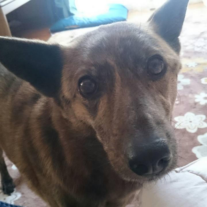 3af9f757 b50b 4f56 92d4 10dea3e1a1c6