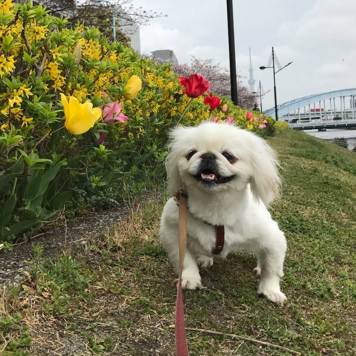 3afa62fc cb63 4bbb bd11 651f16a8c904