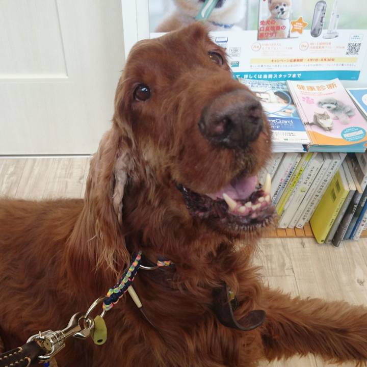 3afa973e 9330 45ba b30a dc02f94b93c9