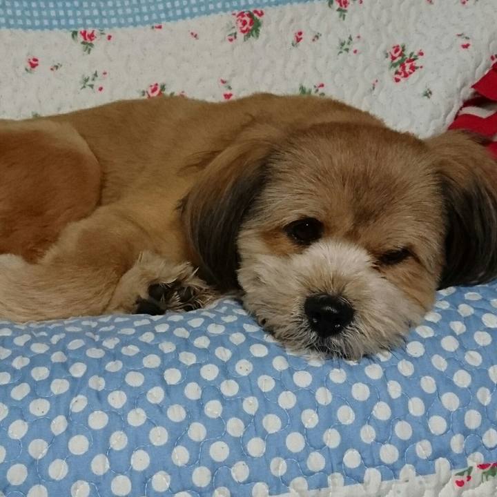 3afabeda 5d0d 4e0f a9d0 29a5287a2f58