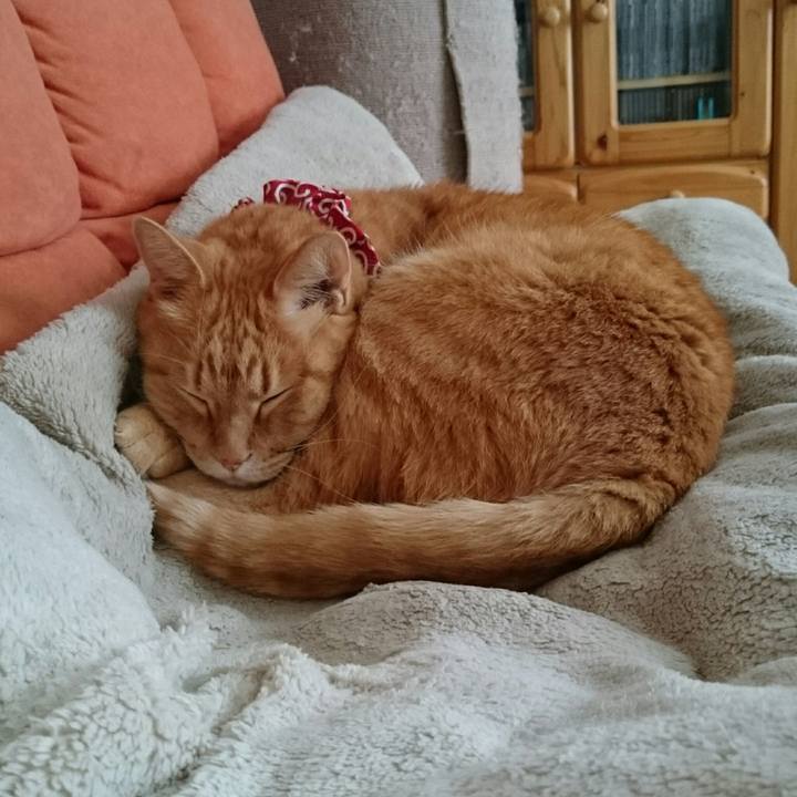 3afb0c97 b90d 478a 9bc8 2f82e2d283c4