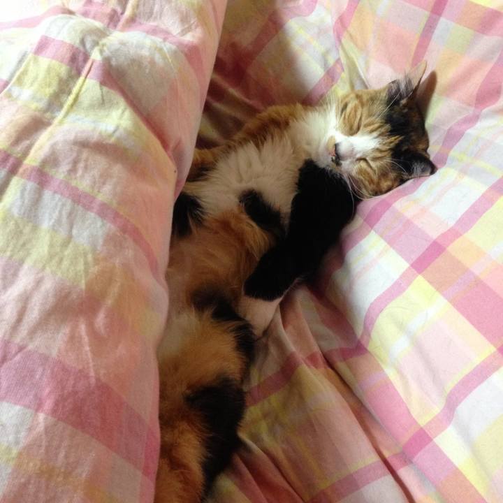 3afb6515 a90c 4ead a332 9a4a03f93d04