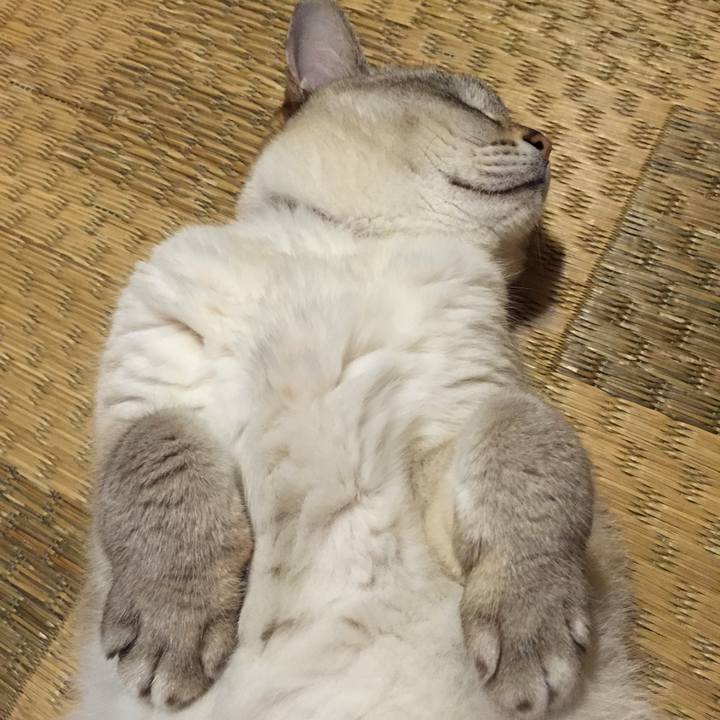 3afbf22d c87f 4bfe 8e41 167ff844795c