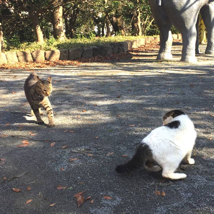 3afc084a f893 482f b15b 8bbdfce1de9c