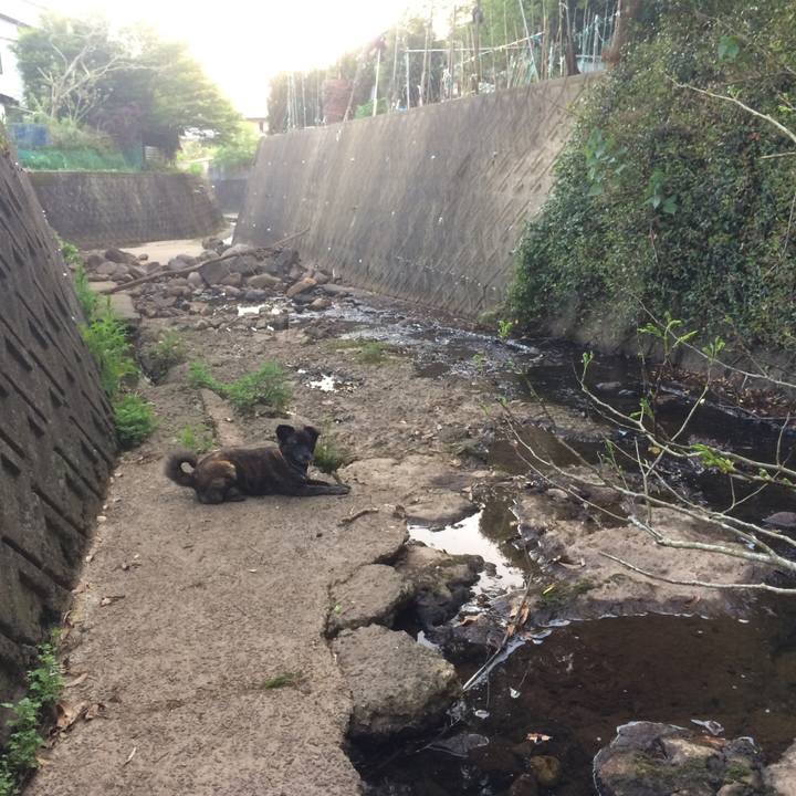 3afc3210 6964 445c aa41 477f37ab9a2e