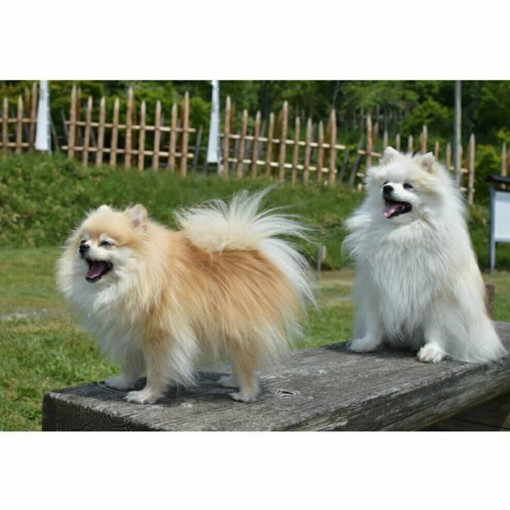 3afc34de 804f 418e 846c 3633958fb631