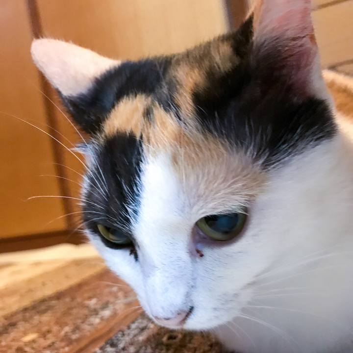 3afc63ab eacf 401c a105 34abf6a36c8d