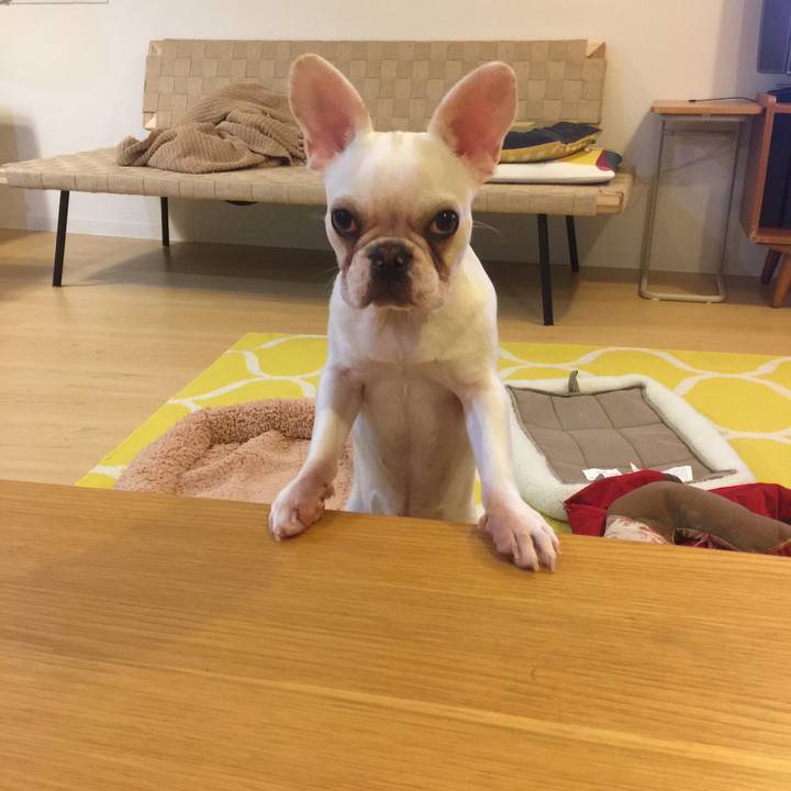 3afc7105 6834 4c22 ae55 2199b99f8506