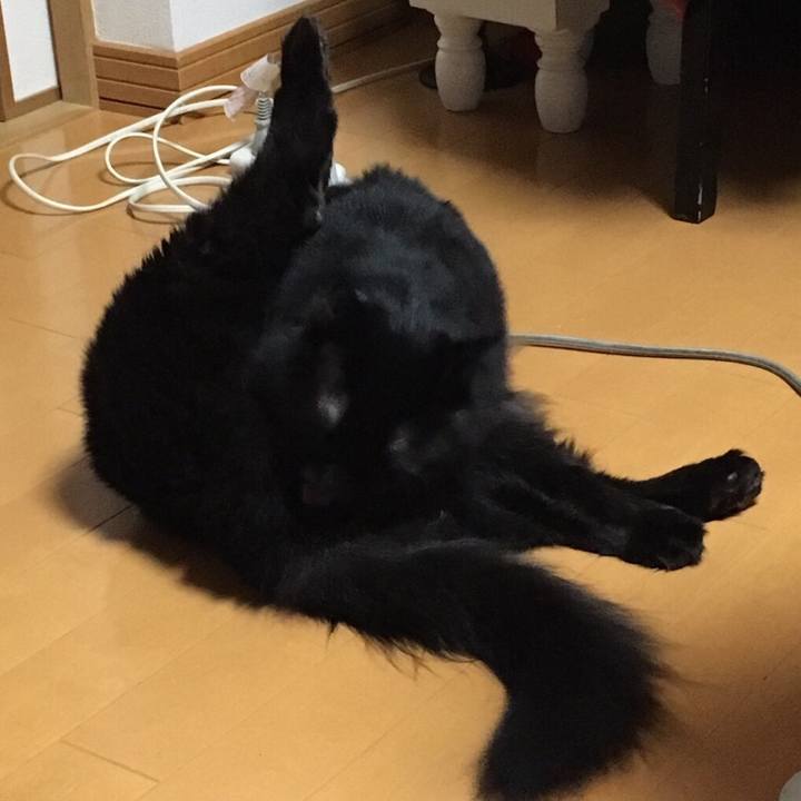 3afcaef3 6cdb 4891 b9d1 40da97144920