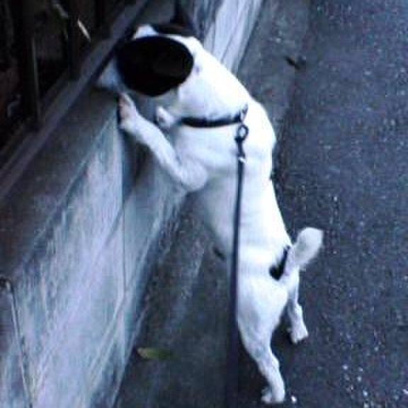 3afcb9c9 8bff 4ffe a3ff fcdb891089f7