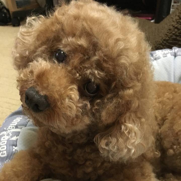 3afe9660 c60f 4d7f a5f9 99fc62aedf76