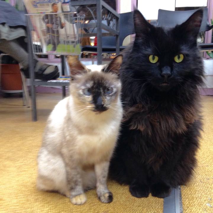 3aff3088 8448 483f 9b99 7c7cba43b183