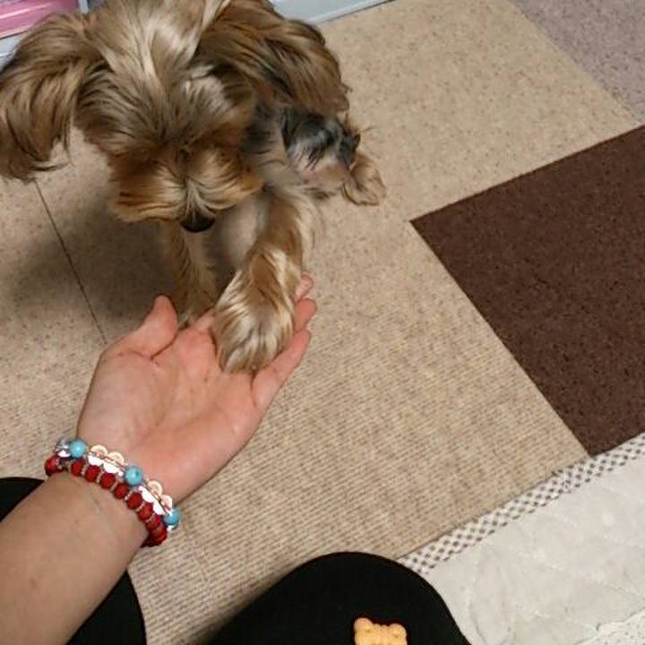 3affcd42 b8f5 4583 ba45 9edadcd2edd2