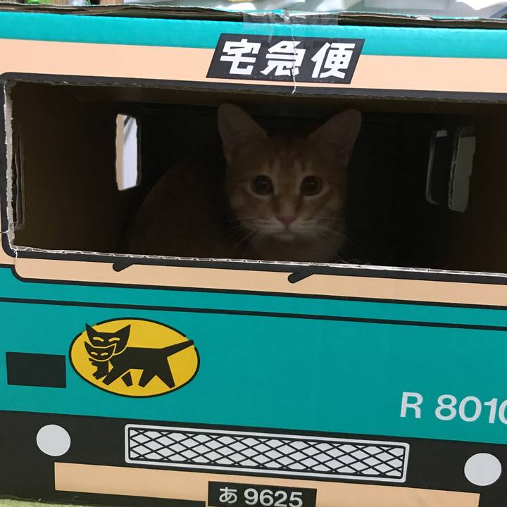 3b003996 42bb 4480 932e 16988f81e87f