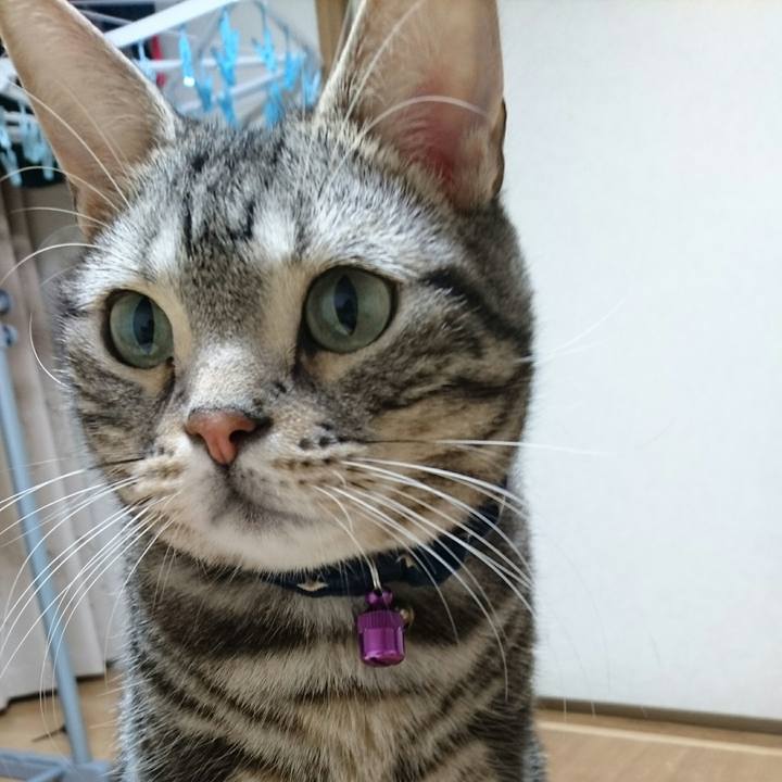 3b007e96 55c3 4b57 b566 7fef6358e5fc