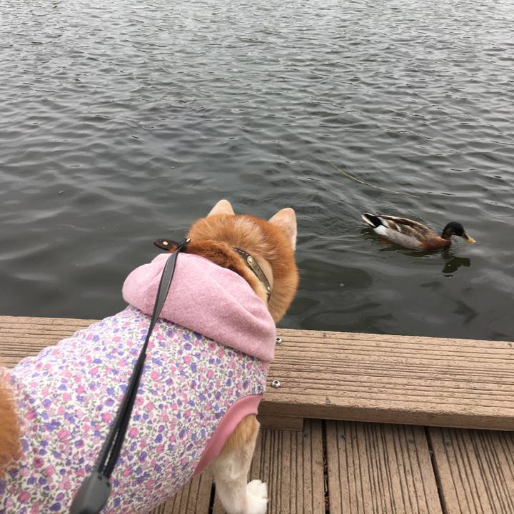 3b00fe21 b418 4015 87b0 87453b852b3f