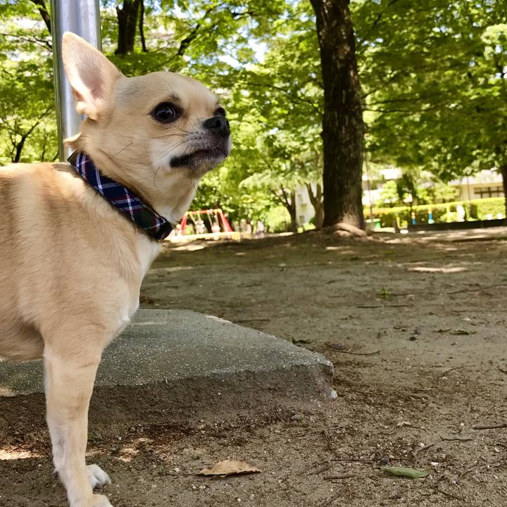 3b026308 71e8 4f96 ba57 20177c216c60