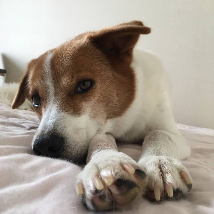 3b027cad 23e6 4cf2 b155 ba1cb1b8c826