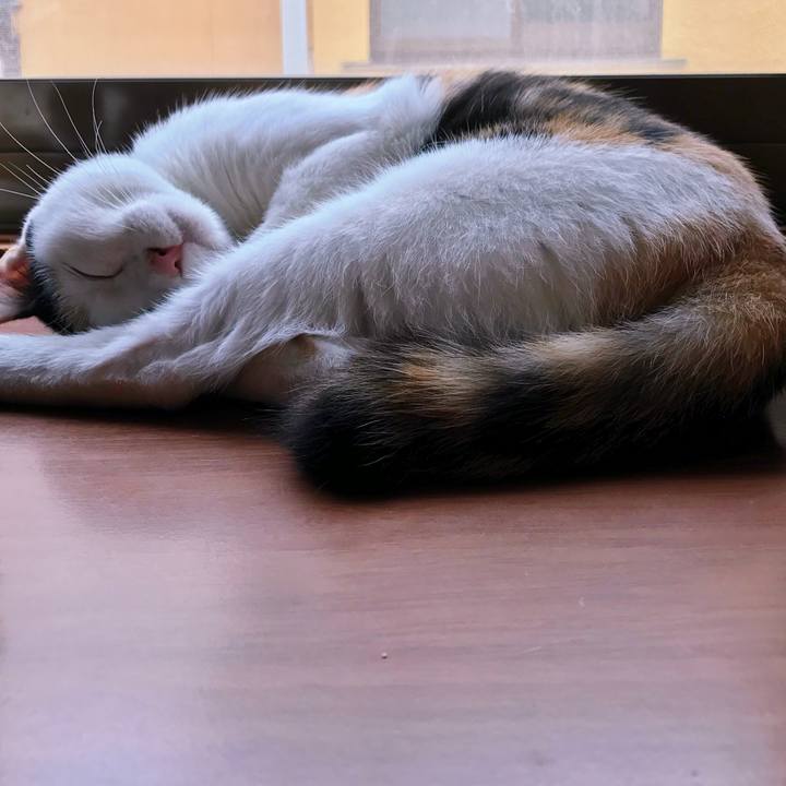 3b02e3fd 4b13 4940 842c 0f77f39e8b24