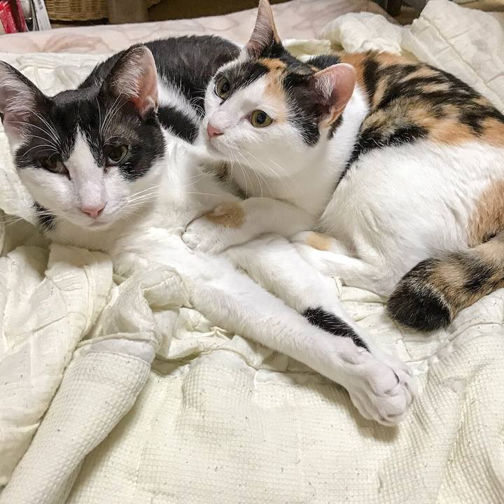 3b02fe31 f85c 4761 906e 7b52ef9785c6