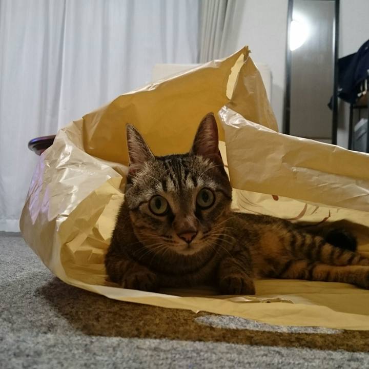 3b034ab0 ed35 458f 9de9 95675e04966f