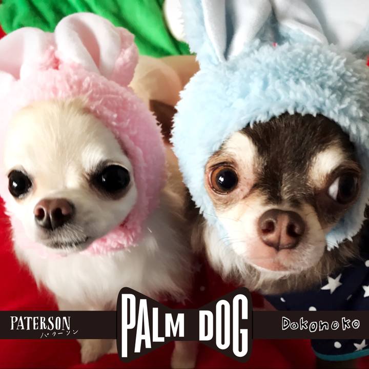 3b0351b1 f8b8 4d90 9b97 1aa97e8f03bc