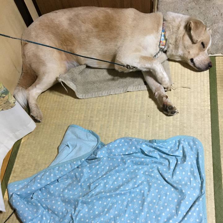 3b03d03c aa92 4dc9 9346 a4ba6d7e5151