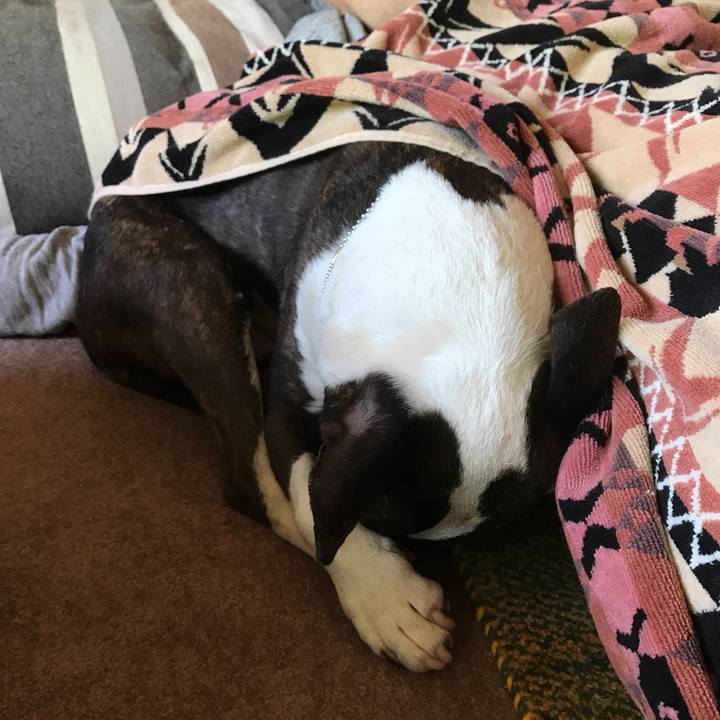 3b042570 553c 4612 9ce3 d18586149032