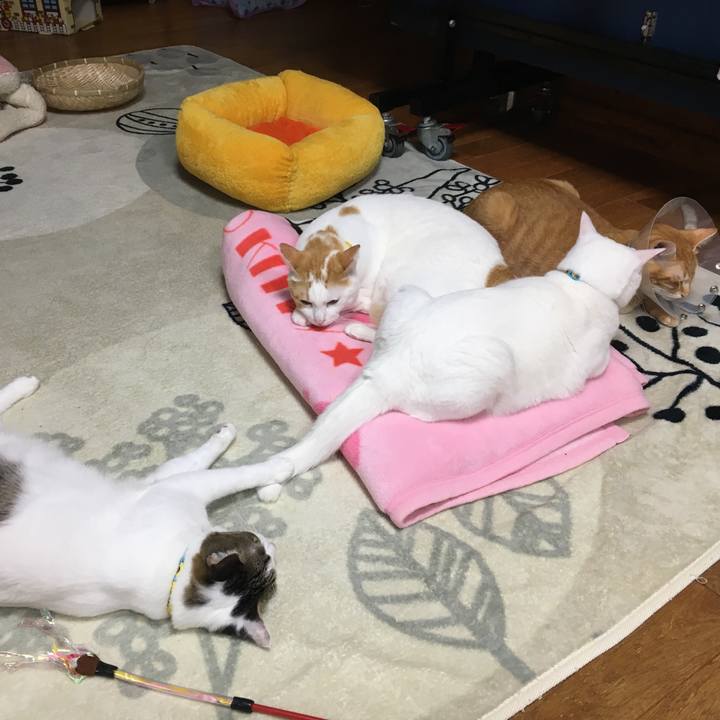 3b045469 606e 4954 81a6 b9f037b0f5b8