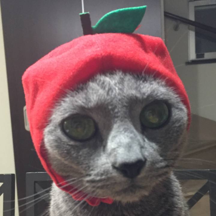 3b05104a b136 47ae ad50 4e934782c2ca