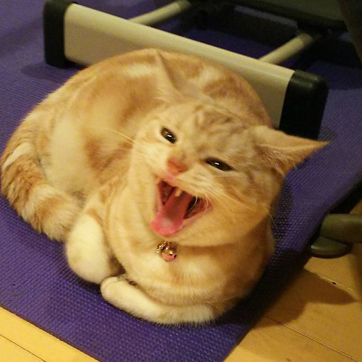 3b056af8 c7df 48ba 8c27 2116a761e69a