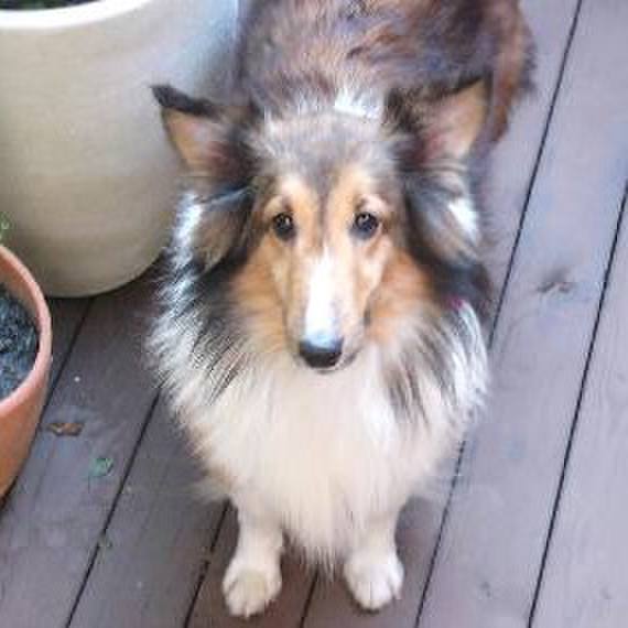 3b057885 8411 44de b83a 28c2e636549b