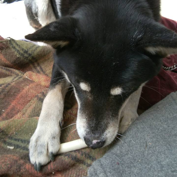 3b060793 8a55 442e a9b9 9870a5ff3356