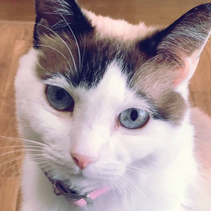 3b075268 651d 4d00 b8c5 3237e2ccb66a