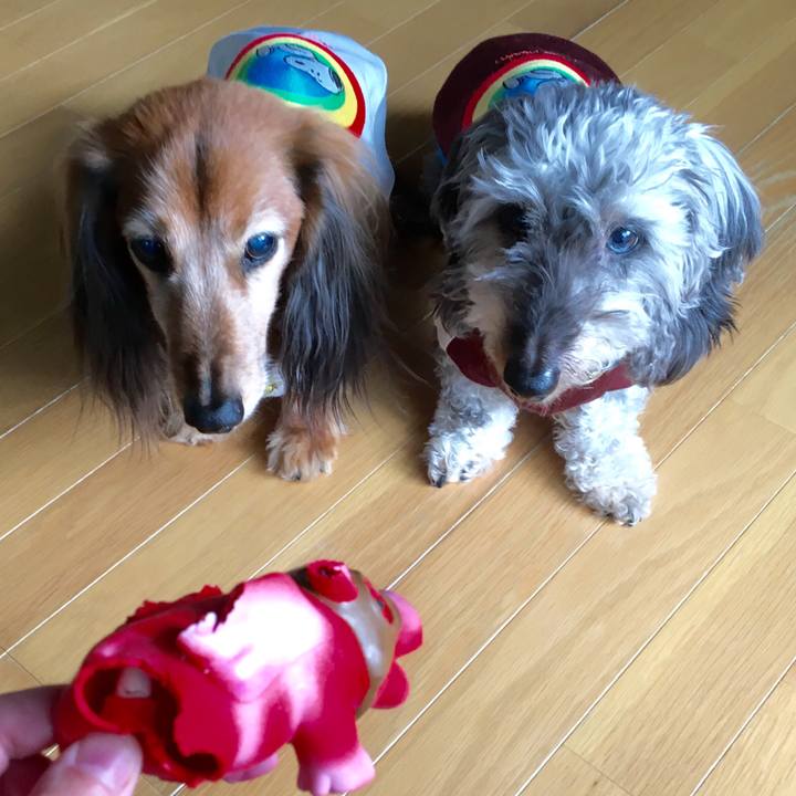 3b0768df 0860 4b0f babb f5491f307b04